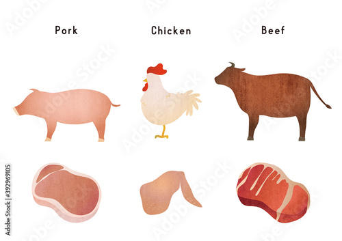 illustration set of  meat and animals