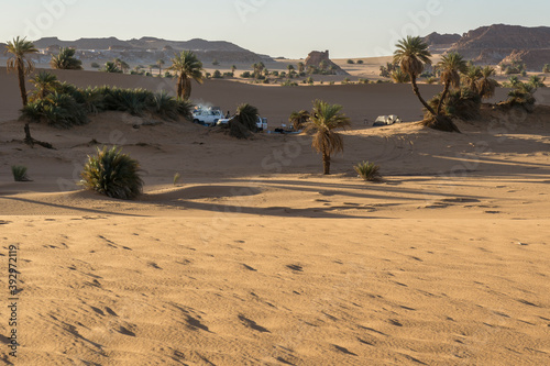 Oasis in the Sahara desert, Chad, Africa photo