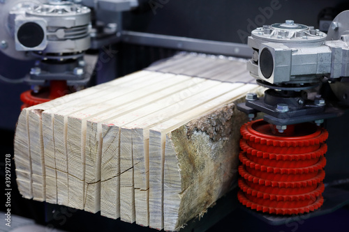 sawing boards from logs with multi rip saw machine photo