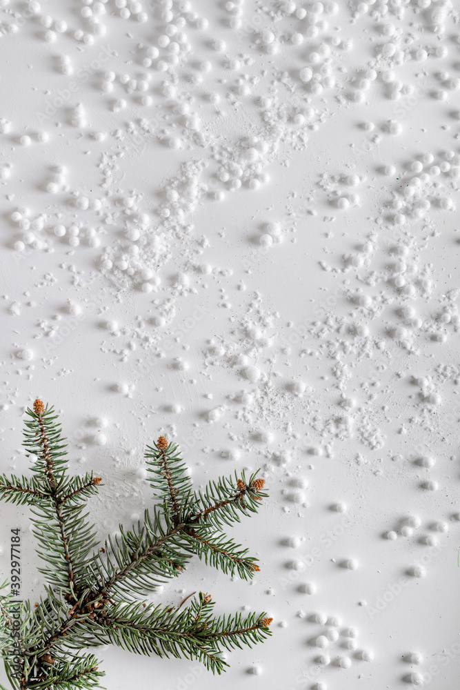 Evergreen tree branch with snow and snowballs in corner. Horizontal composition, flat lay, top view. Snow forest creative minimal layout with white background