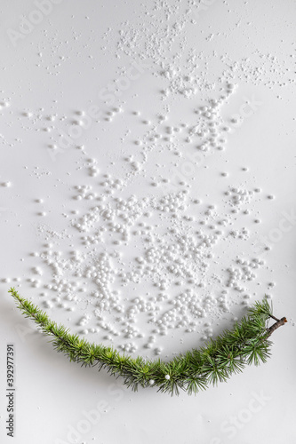 Evergreen tree branch with snow and snowballs. Horizontal composition, flat lay, top view. Snow forest creative minimal layout with white background