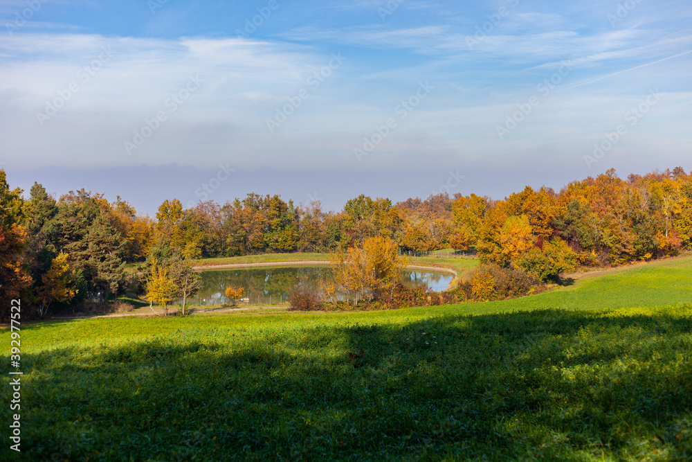 Paesaggio autunnale con un prato verde e alberi coloratissimi durante l'autunno Paesaggio autunnale con un prato verde e alberi coloratissimi durante l'autunno
