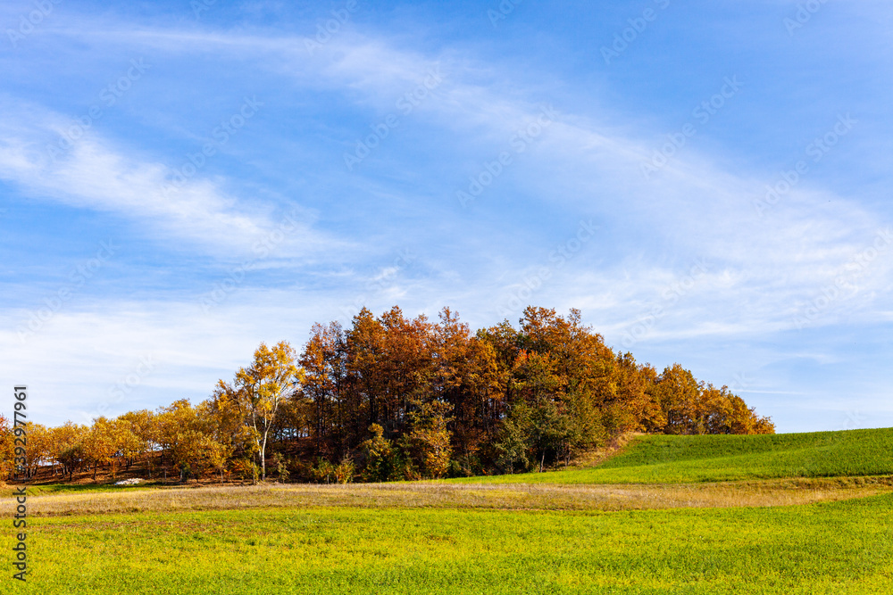 Paesaggio autunnale con un prato verde e alberi coloratissimi durante l'autunno Paesaggio autunnale con un prato verde e alberi coloratissimi durante l'autunno