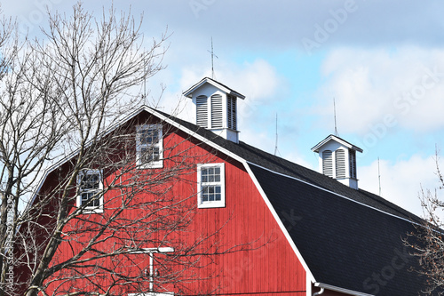 Fotografie, Tablou Barn with Two Cupolas