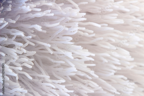 Close up of nylon brush bristles