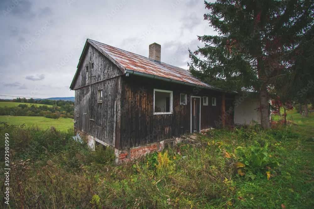 Fototapeta premium Old deserted house at Vatetice, Sumava national park, Czech republic