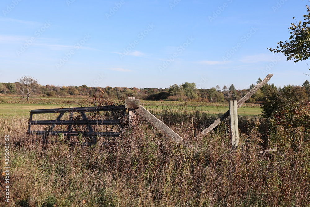 old gate in the field