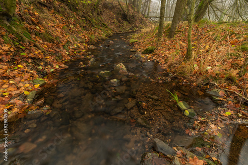 Fototapeta Naklejka Na Ścianę i Meble -  Olsovy creek near Petrovice village in Krusne mountains in autumn morning