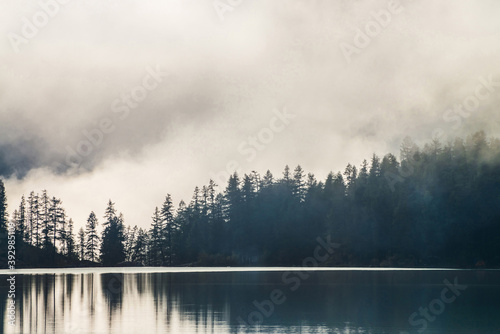 Silhouettes of pointy fir tops on hillside along mountain lake in dense fog. Reflection of coniferous trees in shiny calm water. Alpine tranquil landscape at early morning. Ghostly atmospheric scenery © Daniil