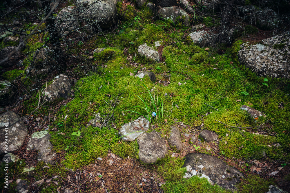 Plastic bottle thrown on moss in forest. Background with garbage in