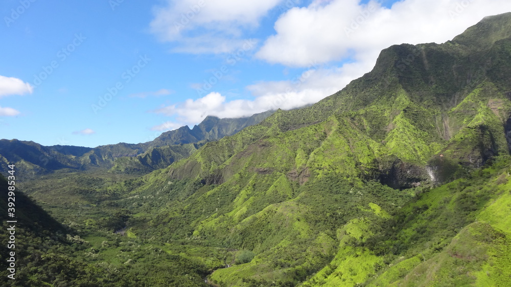 Naklejka premium landscape with mountains