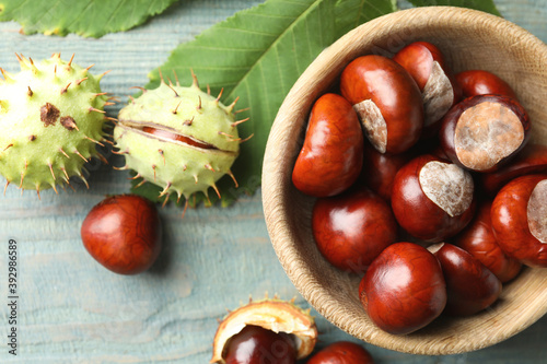 Horse chestnuts and leaf on blue wooden table, flat lay