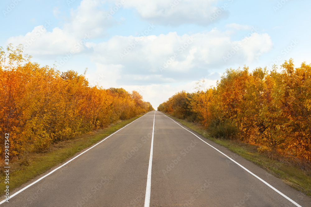 Fototapeta premium Beautiful view of empty asphalt road in autumn