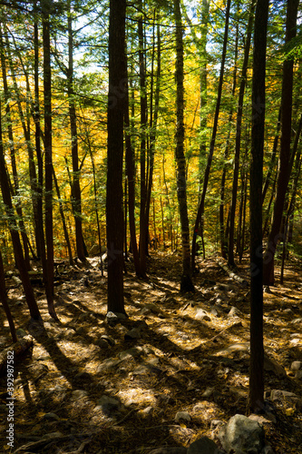  The Crack  is one of the most famous and beautiful hiking trail in Ontario. During fall it offers an incredible hike in a beautiful forest  then a difficult climb to reach a 360 degrees view.