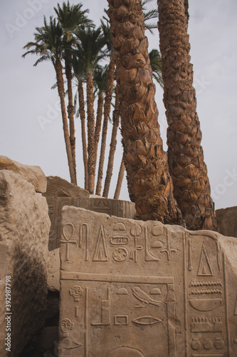 Egyptian ruins of monument with hieroglyphs  and trees behind