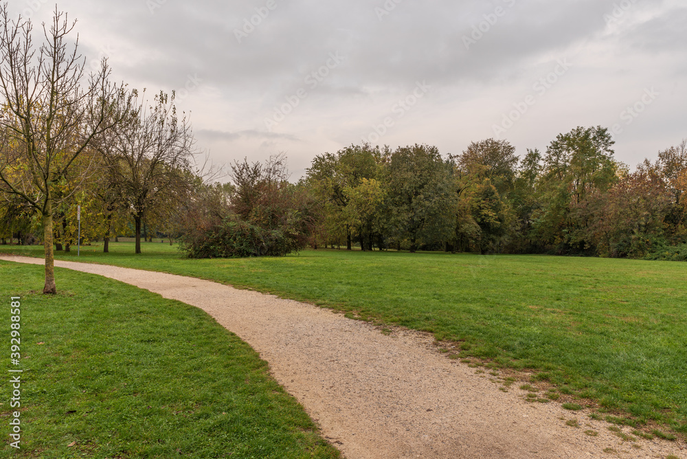 City park on an autumn morning City park on an autumn morning