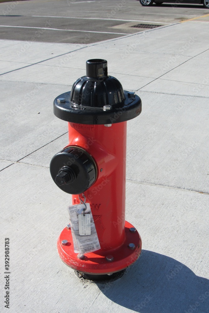 A red fire hydrant on the sidewalk