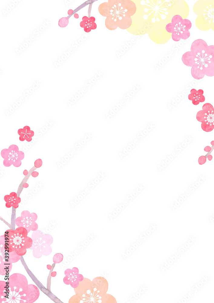 水彩で描いた和風の梅の背景イラストstock Illustration Adobe Stock