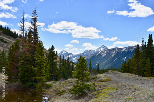 Hiking trail in the Rocky Mountains of Alberta, Canada
