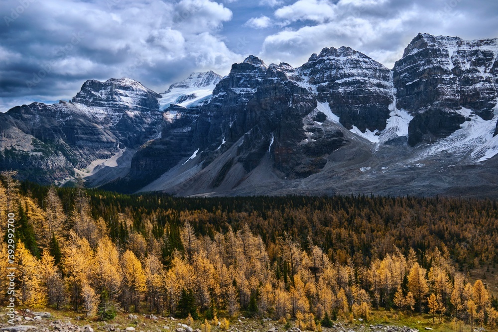 Mountains and autumn forest. Yellow trees in Larch Valley in Canadian Rocky Mountains. Autumn in Banff National Park. Alberta. Canada 
