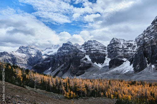 Yellow trees in Larch Valley in Canadian Rocky Mountains. Autumn in Banff National Park. Alberta. Canada 