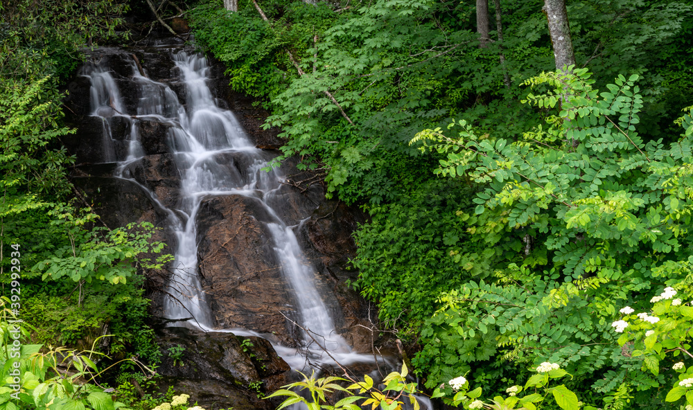 Obraz premium Refreshing Woodfin Cascade Along the Blue Ridge Parkway