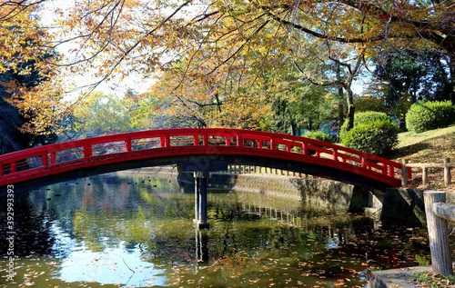 秋の彩り　太鼓橋　風景　趣