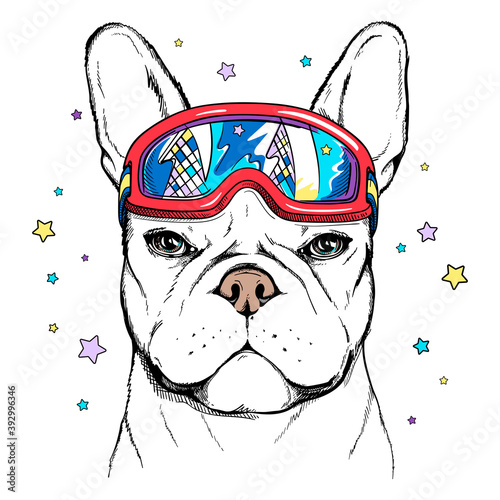 Cute cartoon french bulldog wearing ski goggles . Dog portrait in hand drawn style. Stylish image for printing on any surface