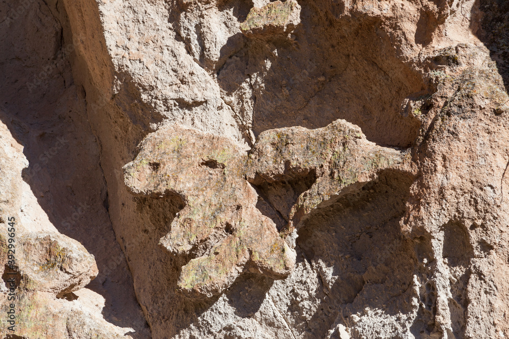 Fototapeta premium Rock Shape of T-Rex Eating a Bear