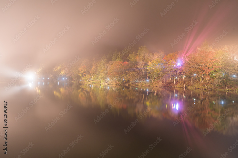 Fototapeta premium 霧がかかるライトアップされた紅葉
