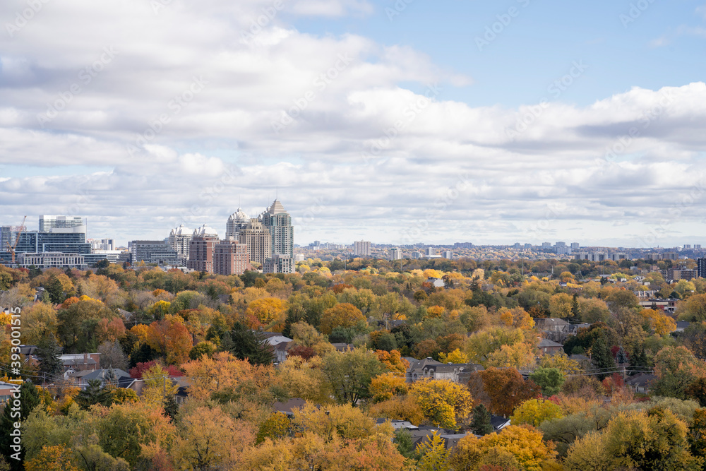 View in North York with autumn leaves on a sunny day in Ontario Canada