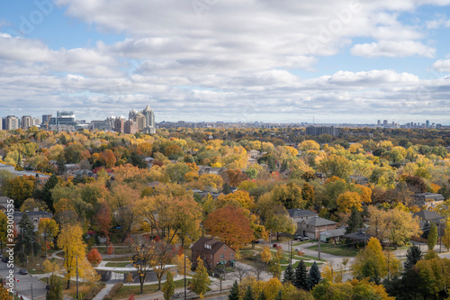 Photography View in North York with autumn leaves on a sunny day in Ontario Canada