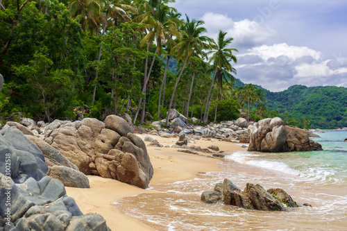 Beautiful tropical coast landscape with palm and pacific ocean en Mexico