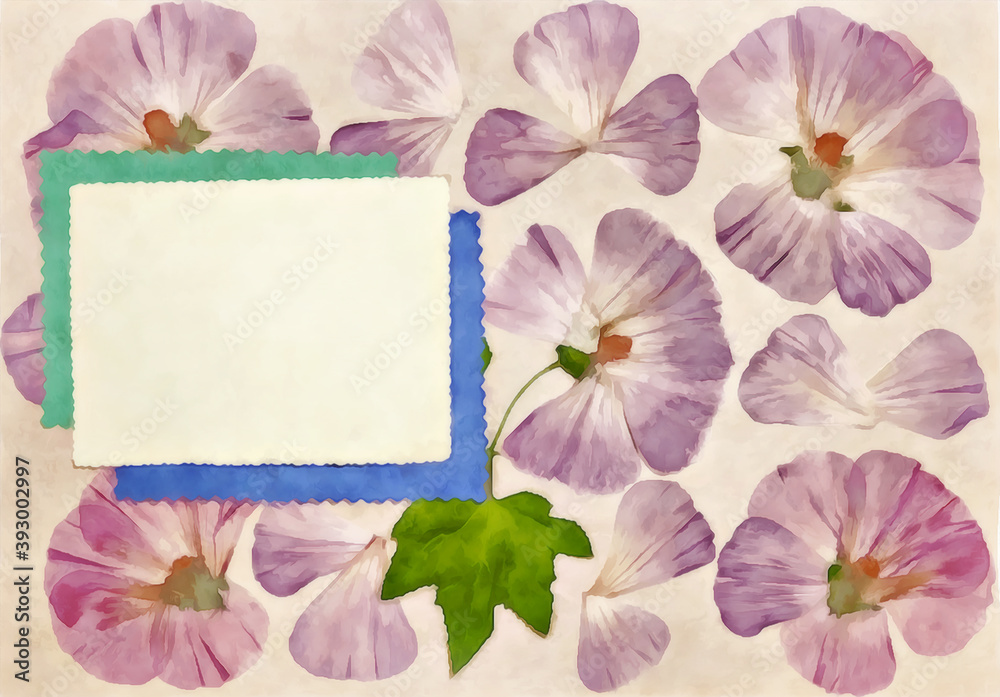 Page from old photo album. Lavatera flowers in watercolor style. For texture, wrapper pattern or greeting, card, postcards. Digital painting-illustration. Watercolor drawing. Scrapbooking element