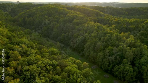 Beautiful Forest In Spring With Lush Green Vegetation In Polanka Redlowska, Gdynia, Poland - Aerial Drone Shot photo