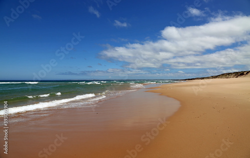 On Woolamai beach - Phillip Island  Victoria  Australia