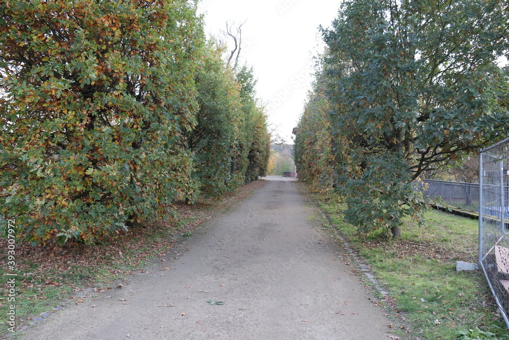 Weg Schloss Phillipsruhe