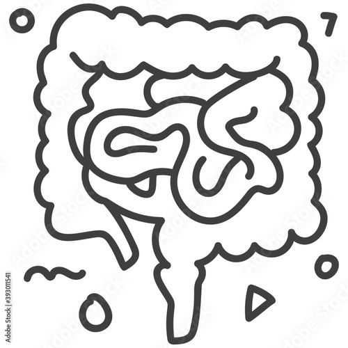 Intestine 
