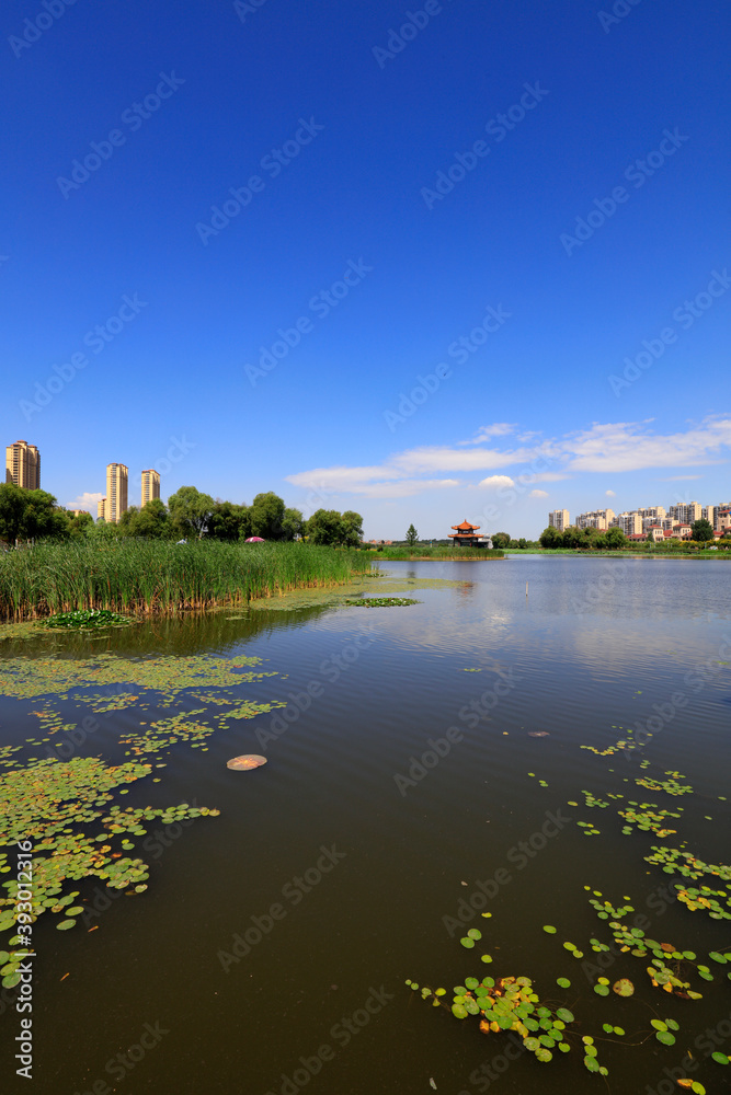 Summer Landscape of Waterfront City, Tangshan City, China Summer Landscape of Waterfront City, Tangshan City, China