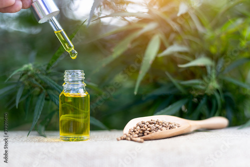 Hands are dripping cannabis oil Researchers are researching cannabis oil. The concept of using technology to research alternative medical marijuana Studies on the Extraction of Hemp Oil and Recreation