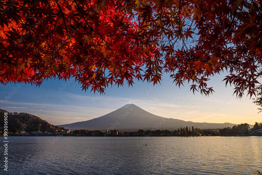 夕刻の富士山と紅葉