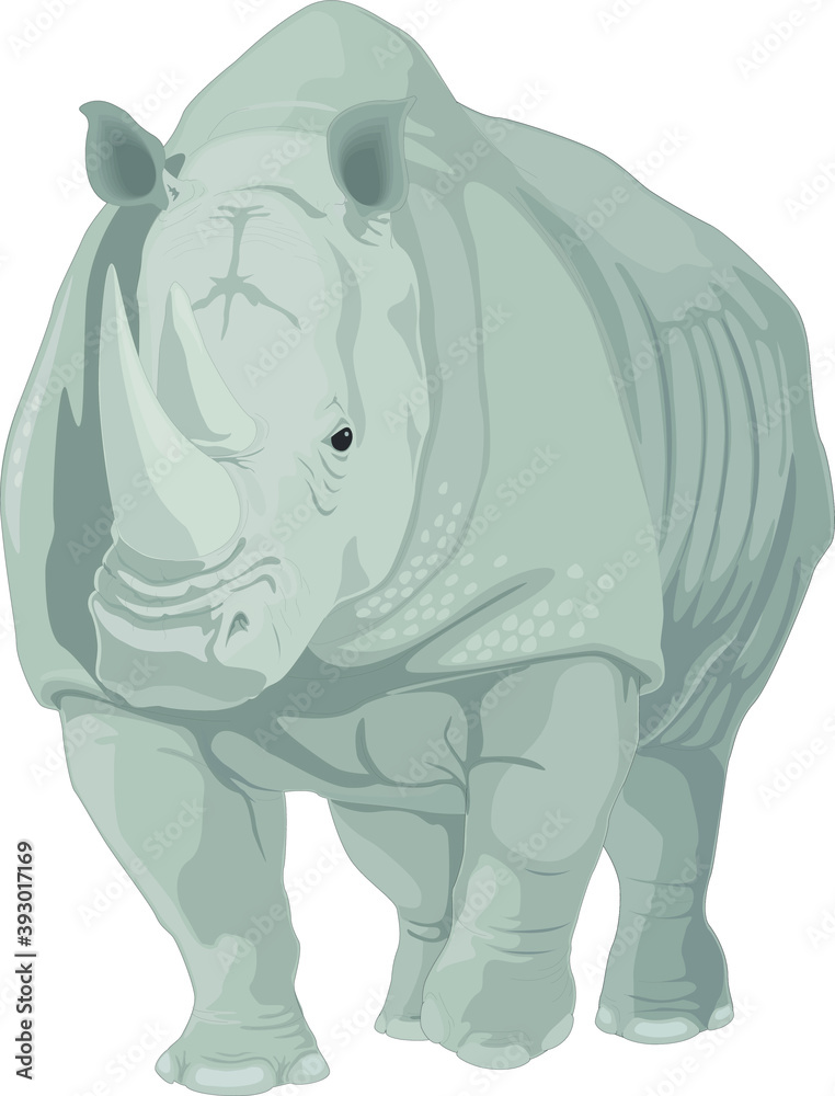 Illustration of a rhinoceros 