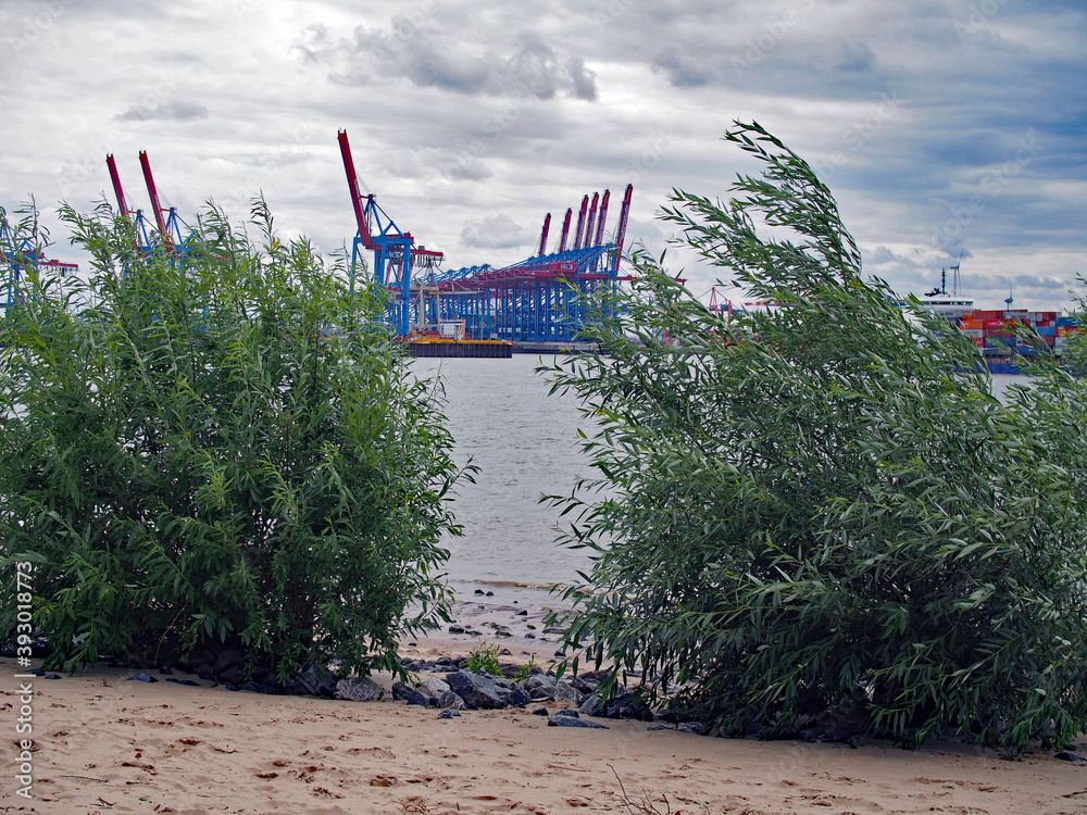 Containerhafen Hamburg