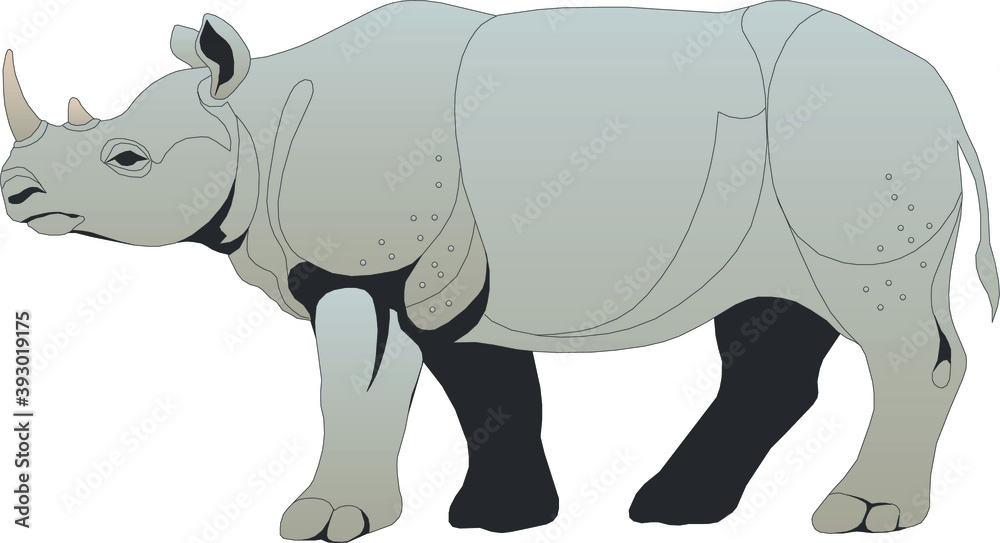 Illustration of a rhinoceros 