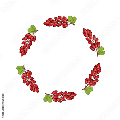 Round photo frame with a sprig of barberry. Poster with wild berries. Printing on fabric and clothing.