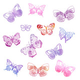 collection of colorful butterflies isolated on white.