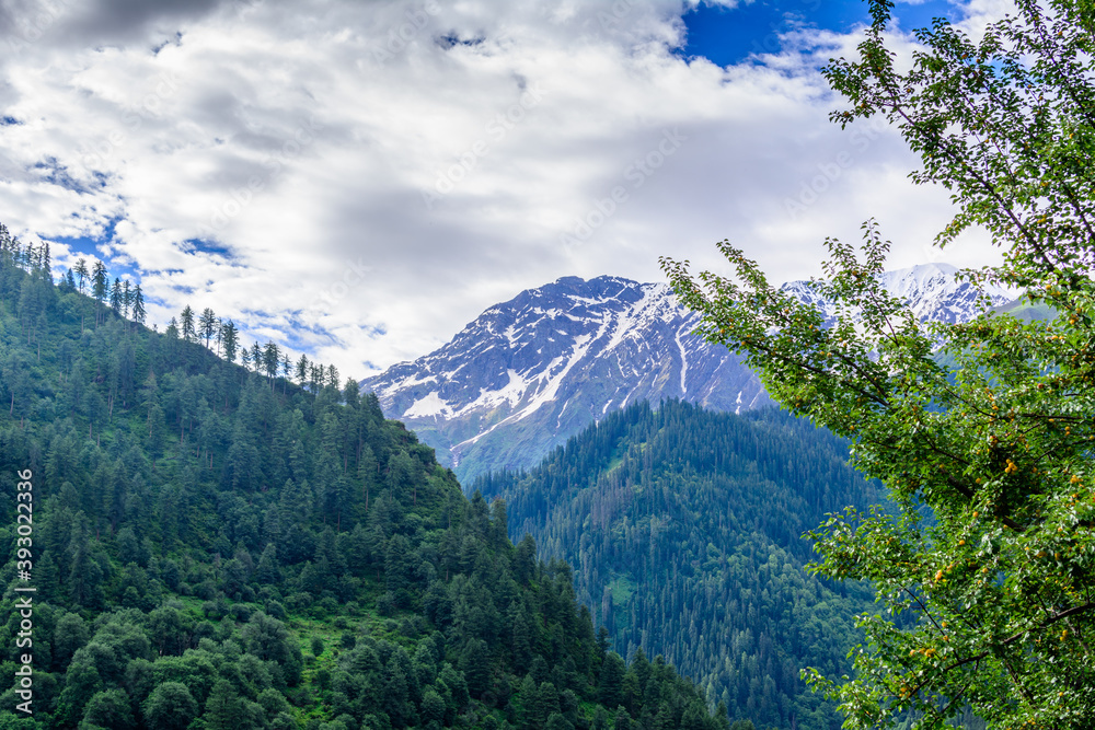 Beautiful natural scenery of Parvati valley during monsoon passing through lush green forest of Himalayan mountains.