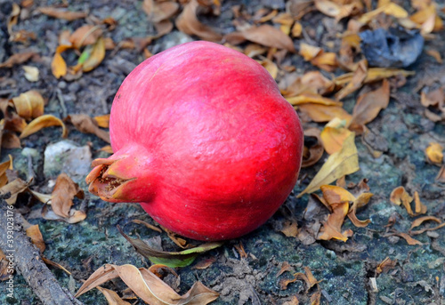 red big pomegranat