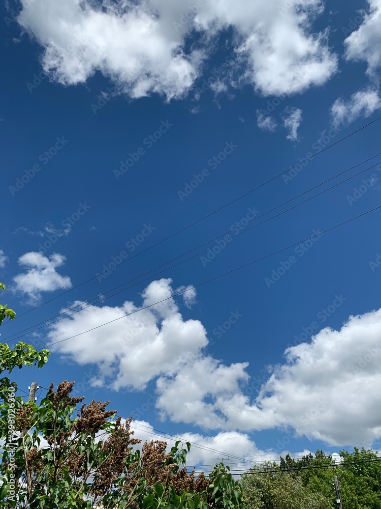 Obraz premium clouds over the sky