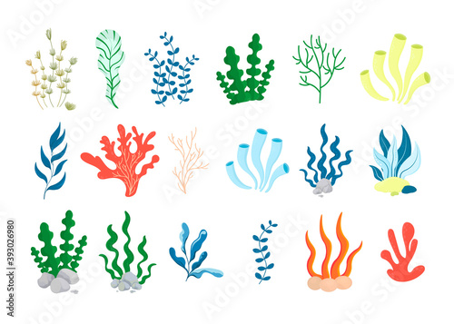 Set of vector illustrations of seaweed and corals. Cartoon sea life.
